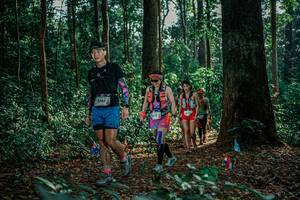 BIB: 
                            <button type="button" onclick="openModal(26128043)" class="btn btn-primary btn-sm float-right btn-popup" data-toggle="modal" data-target=".modal-high-quality">
                        <i class="fas fa-shopping-cart"></i> Add to Cart
                    </button>
                                            <button type="button" onclick="isThisMe(26128043, true)" class="btn btn-success btn-sm float-right btn-popup btn-isme hidden" data-toggle="tooltip" data-placement="bottom" title="นี่คือรูปของคุณใช่ไหม คลิกที่นี่เพื่อเอาเข้าอัลบั้ม">
                        <i class="fas fa-plus"></i> Add to album
                    </button>
                    <button type="button" onclick="isThisMe(26128043, false)" class="btn btn-warning btn-sm float-right btn-popup btn-isnotme hidden">
                        <i class="fas fa-ban"></i> Remove from album
                    </button>